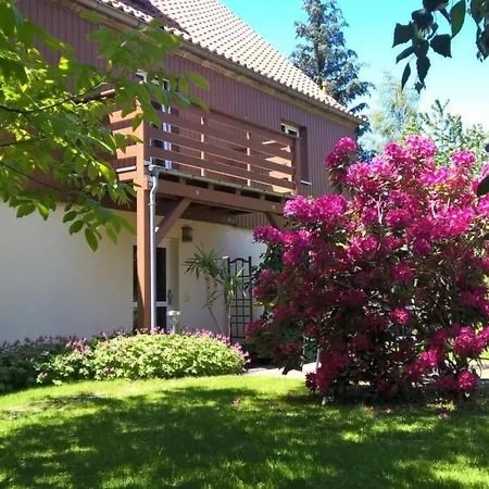 In Schoenfeld Mit Grossem Garten By Interhome דירה *